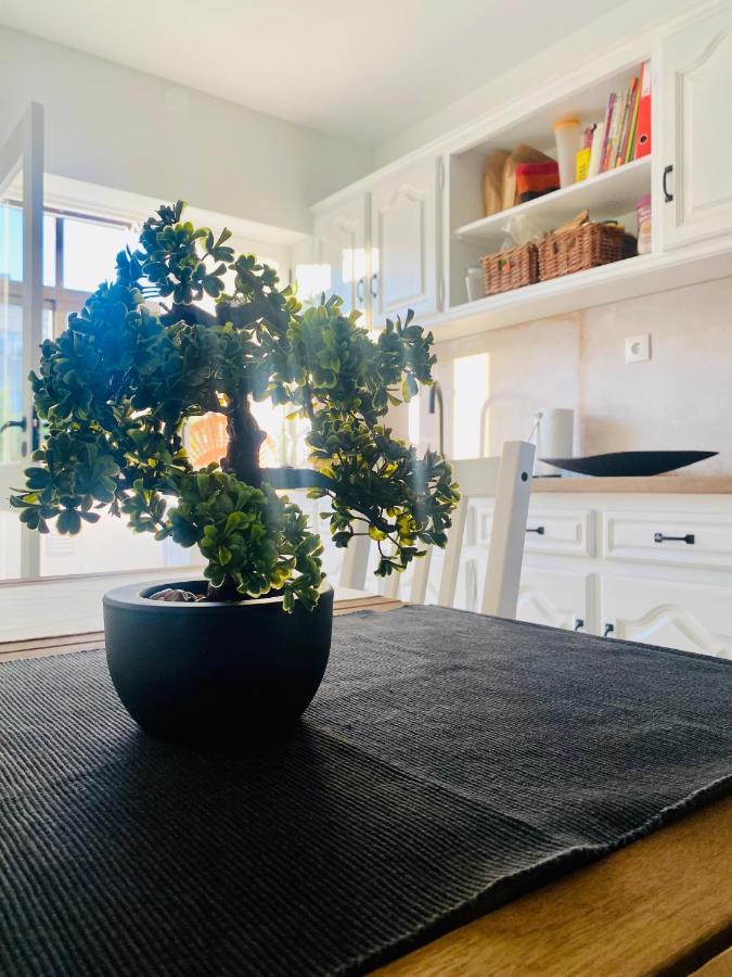 Casa Da Tia Irene Lejlighed Sabrosa Eksteriør billede